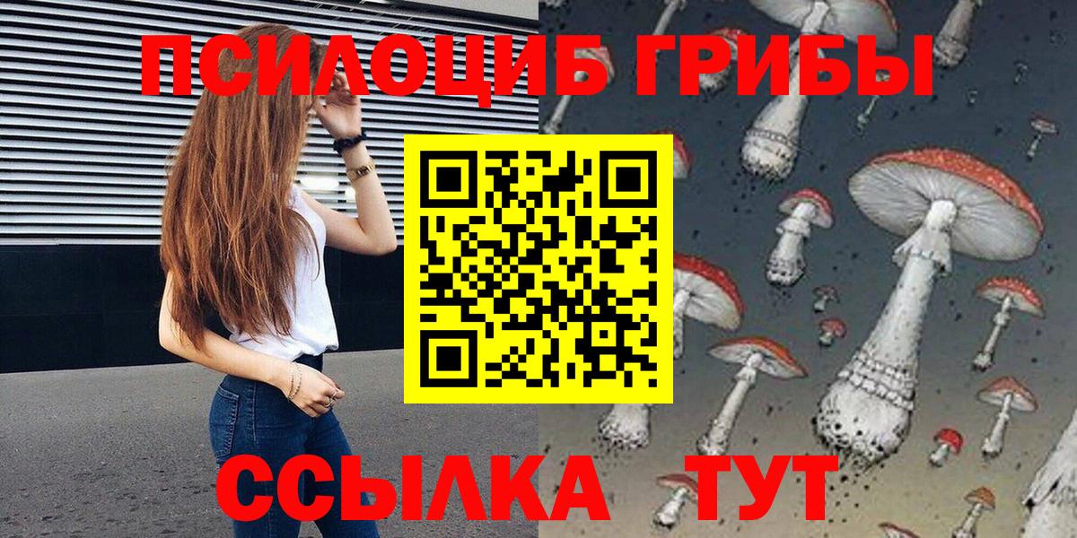 Галлюциногенные грибы MAGIC MUSHROOMS  Вход с VPN  Ногинск 